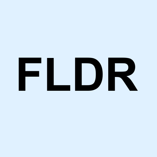 Stock FLDR logo