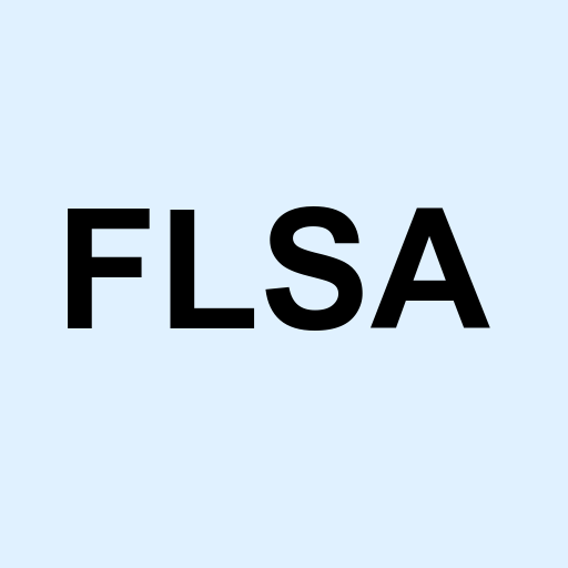 Stock flsa logo