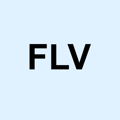 Stock flv logo