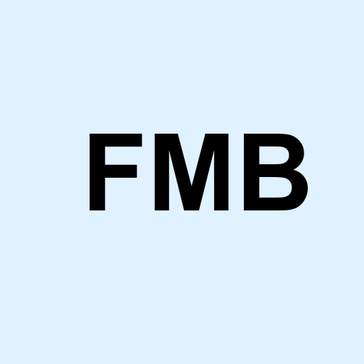 Stock fmb logo