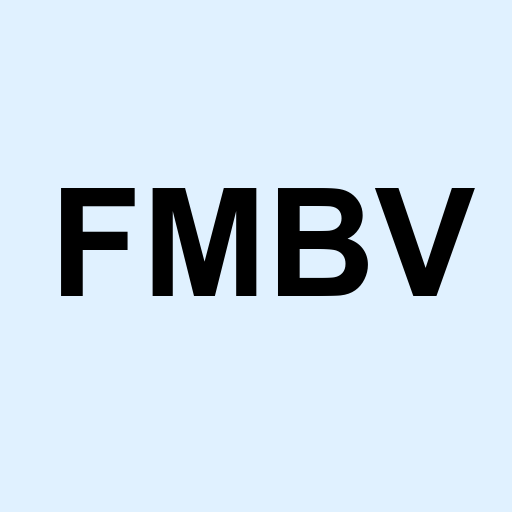 Stock fmbv logo