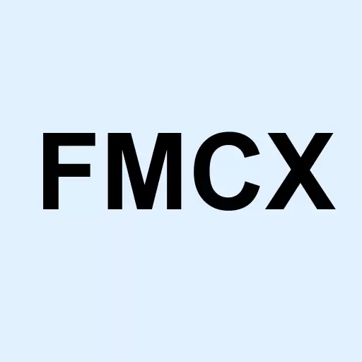 FMC Excelsior Focus Equity ETF Logo