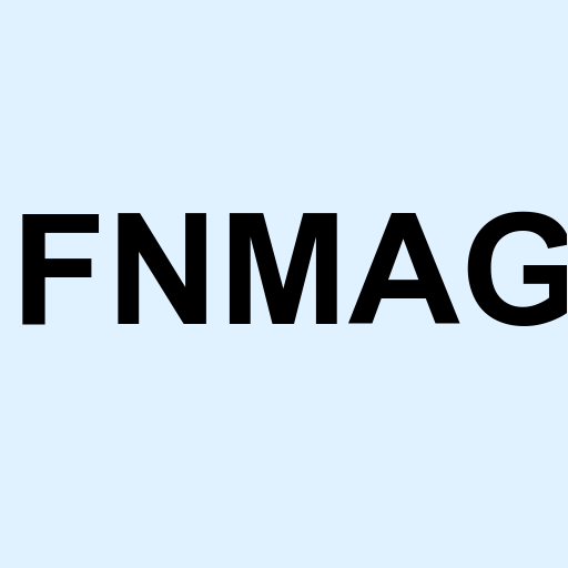 Stock fnmag logo
