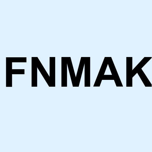 Stock fnmak logo