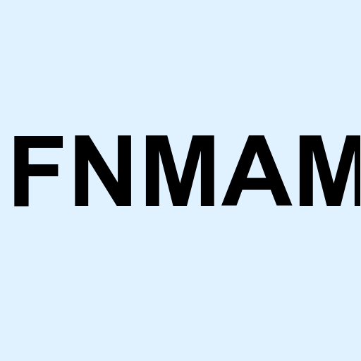 Stock fnmam logo