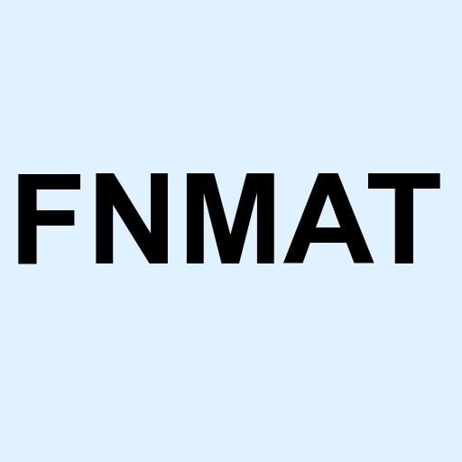 Stock fnmat logo