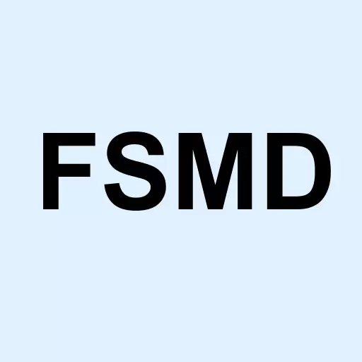 Fidelity Small-Mid Factor Logo