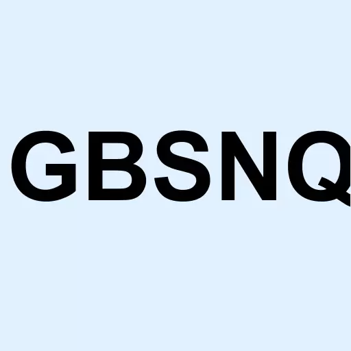 Great Basin Scientific Inc Logo