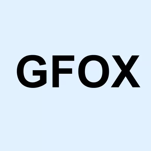 Grey Fox Holdings Corp Logo
