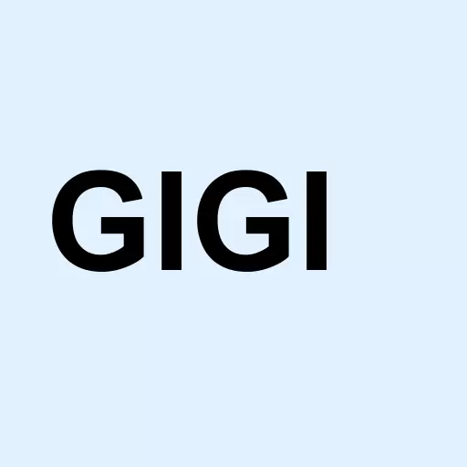 Gaming Innovation Group Inc. Logo