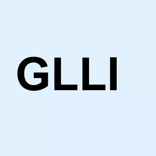 Globalink Investment Inc. Logo