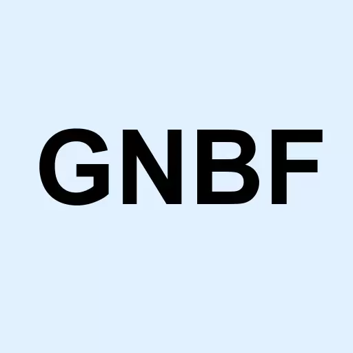 GNB Financial Services Inc. Logo