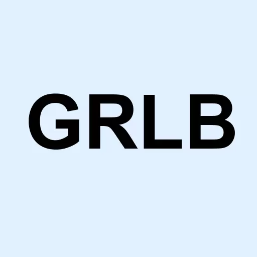 GL Brands Inc Logo