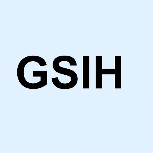 General Steel Holdings Inc. Logo