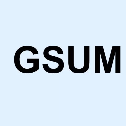 Gridsum Holding Inc. Logo