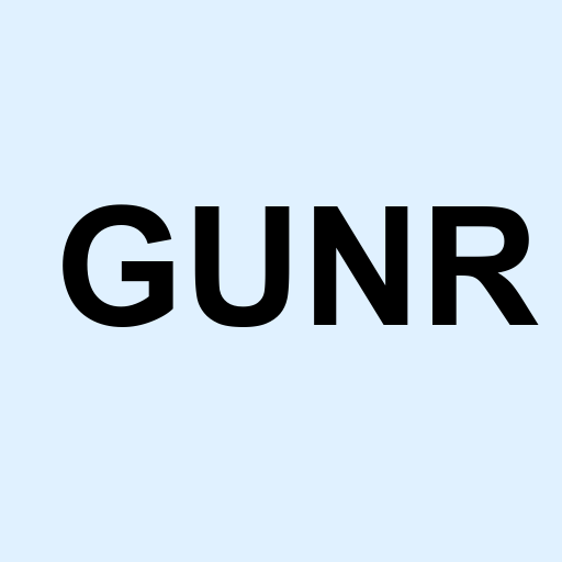 Stock gunr logo