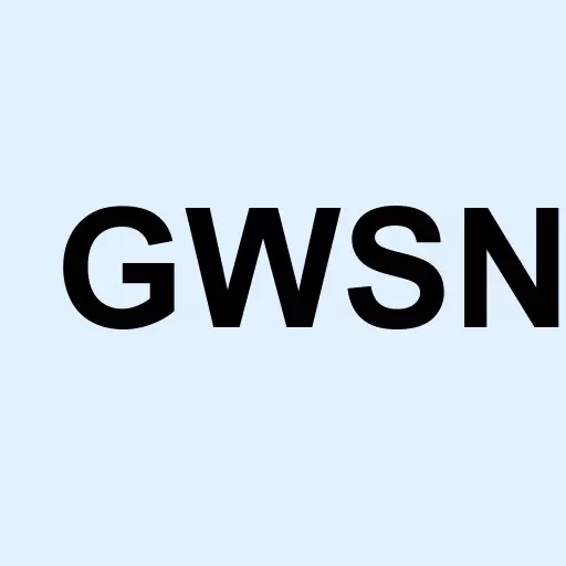 Gulf West Security Network Inc Logo
