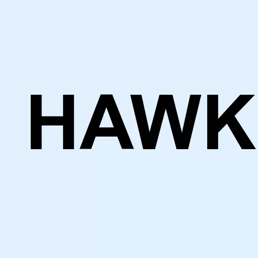 Blackhawk Network Holdings Inc. Logo