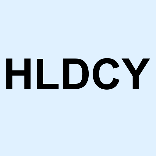 Stock hldcy logo