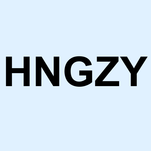 Stock hngzy logo