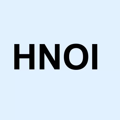 HNO International Inc Logo