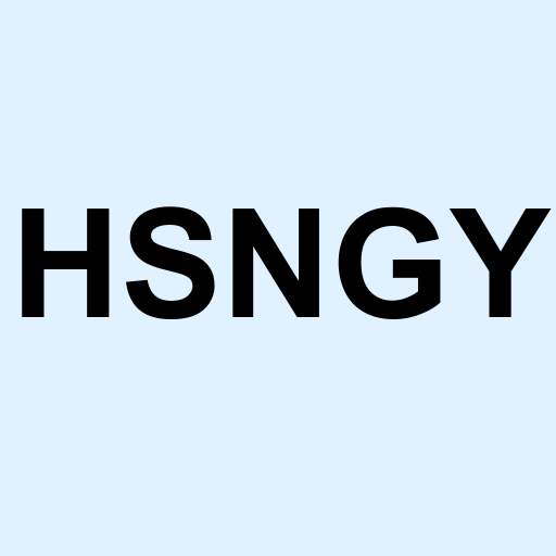 Stock hsngy logo