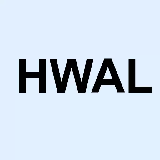 Hollywall Entertainment Inc Logo