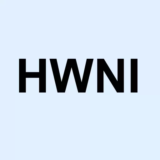 High Wire Networks Inc Com Logo