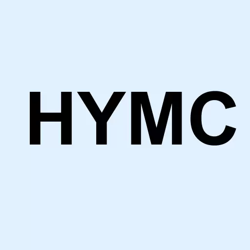 Hycroft Mining Holding Corporation Logo