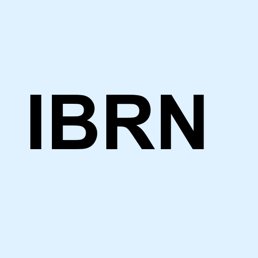 Stock ibrn logo