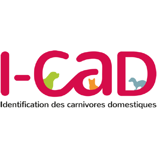 ICAD - iCad Stock Trading