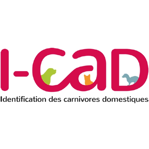 iCad Inc. Logo