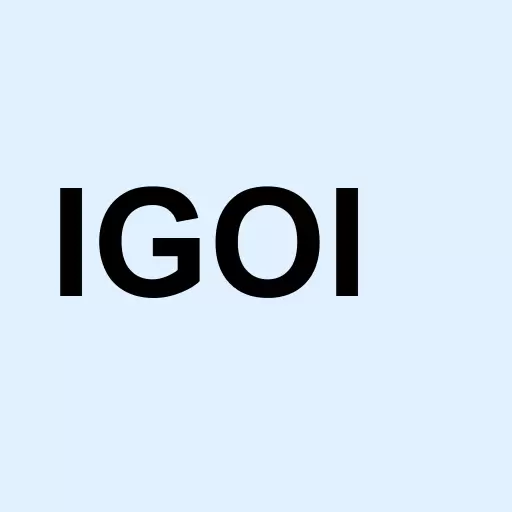 Igo Inc Logo