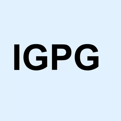 Ignis Petroleum Group Inc Logo