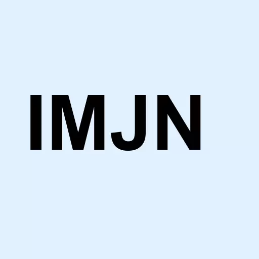 Imerjn Inc Logo