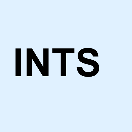Stock ints logo