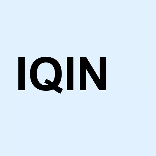 IQ 500 International Logo