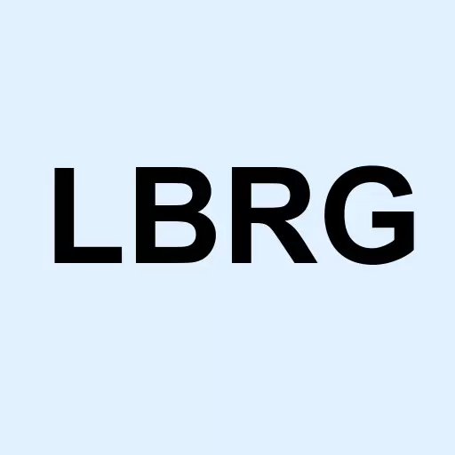Ladybug Res Group Inc Logo