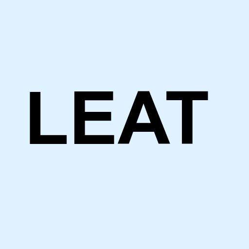 Stock leat logo