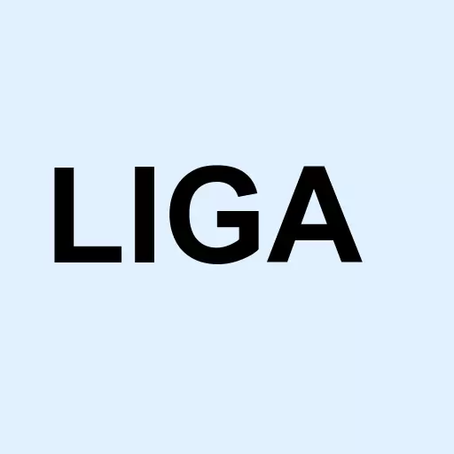 Lig Assets Inc Logo