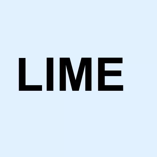 Lime Energy Co Logo