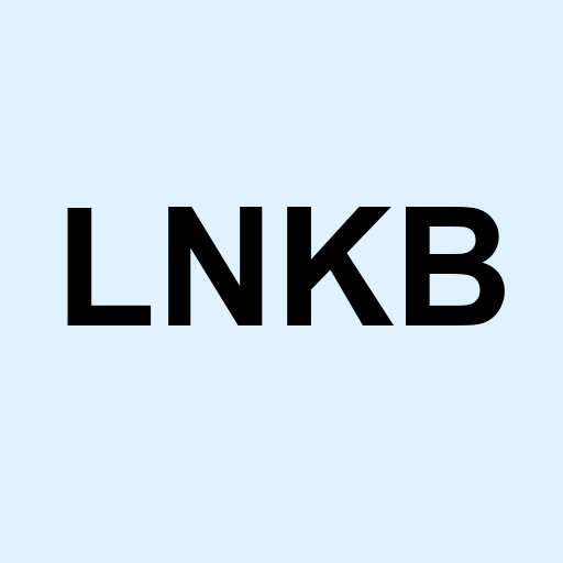 Stock lnkb logo