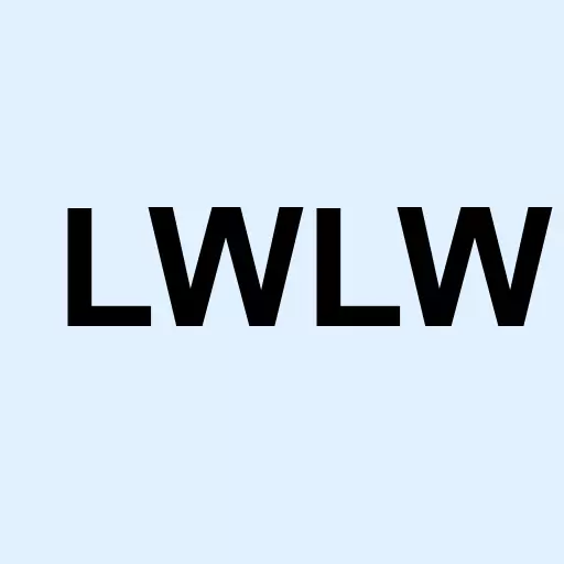 Longwen Group Corp Logo