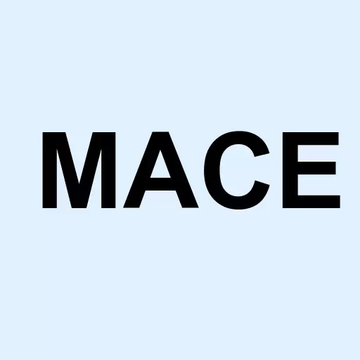 Mace Security Intl Inc Logo