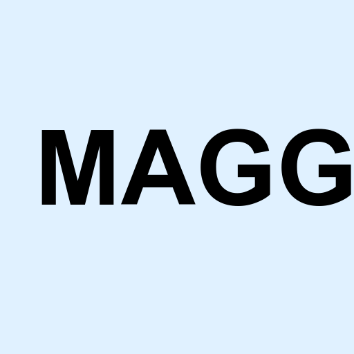 Stock magg logo