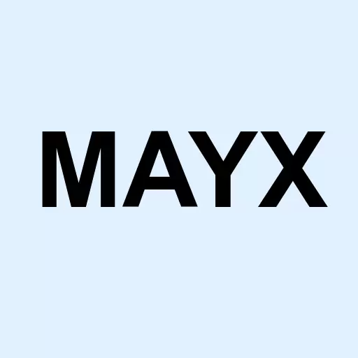 Mayex Usa Inc Logo