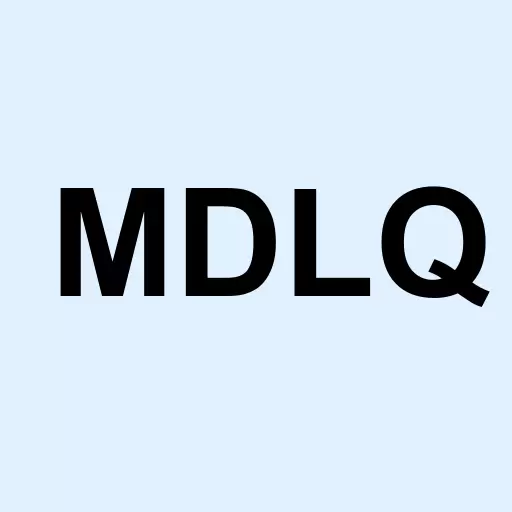 Medley LLC 7.25% Notes due 2024 Logo