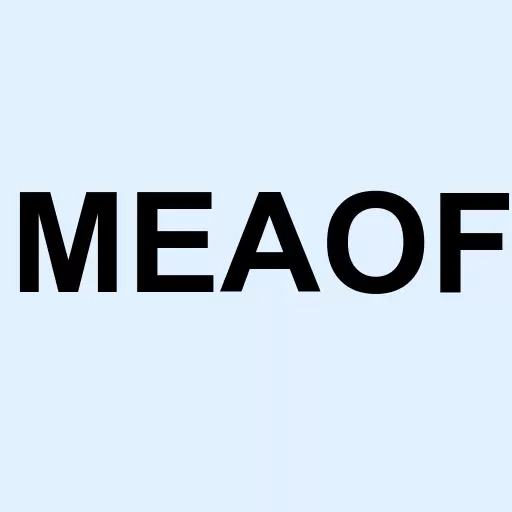 Metanor Resources Logo