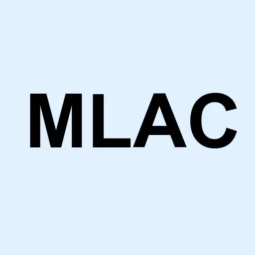 Malacca Straits Acquisition Company Limited Logo