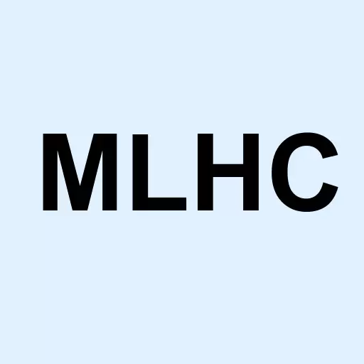 M Line Holdings Inc Logo